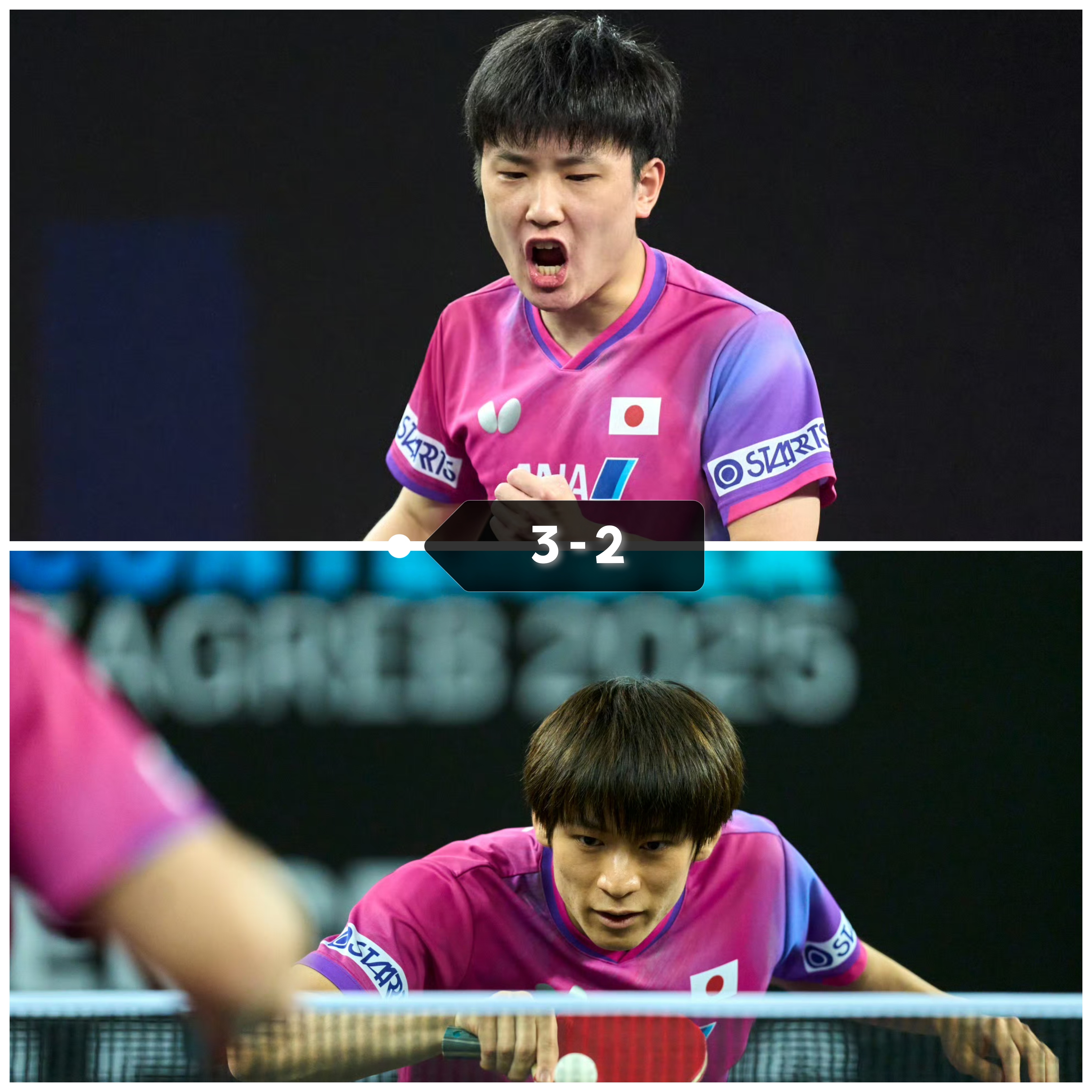 奥地利队碾压瑞典队,张本智和高光表现 奥地利队碾压瑞典队,张本智和高光表现