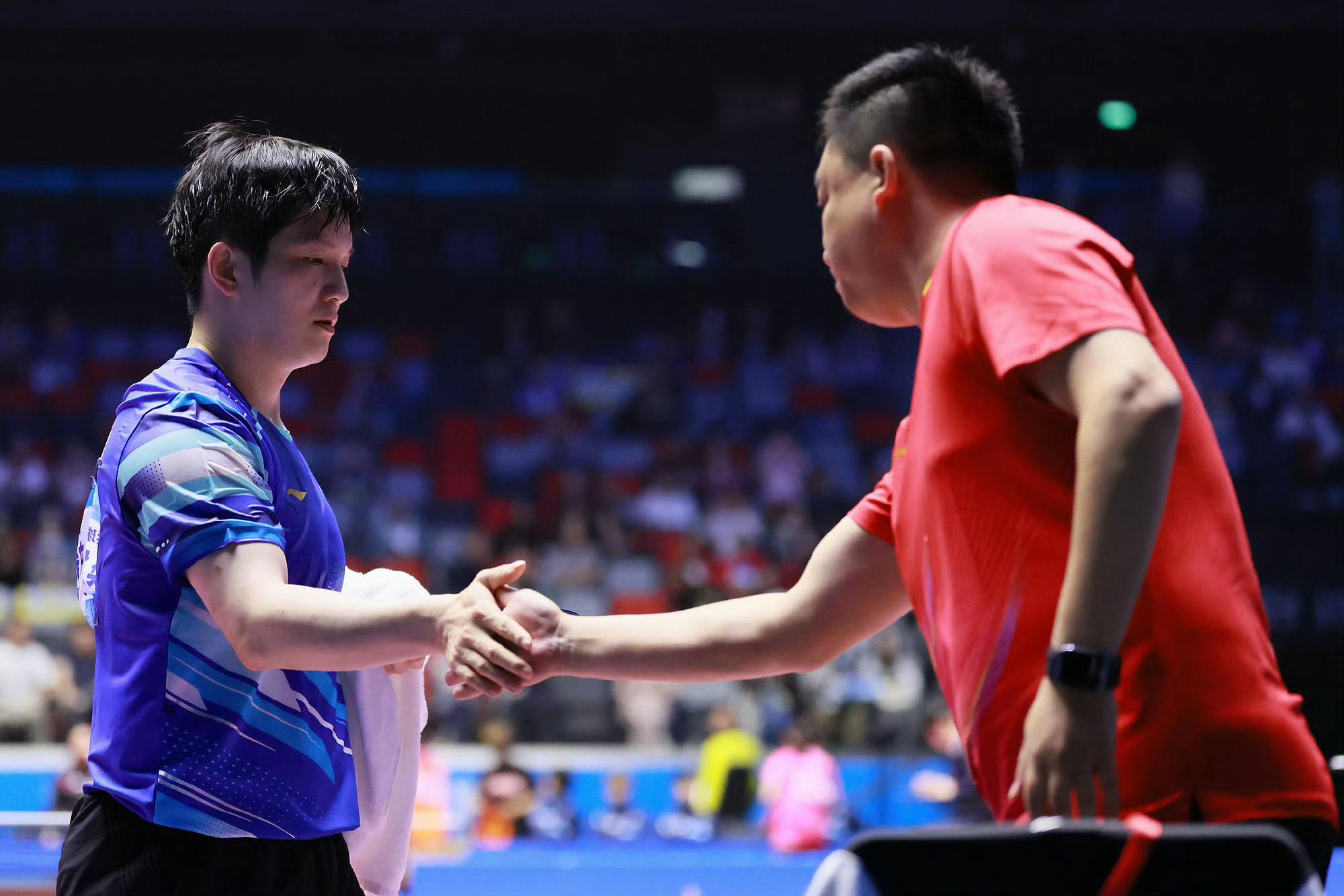 瑞典乒乓球队完胜德国乒乓球队，樊振东关键制胜