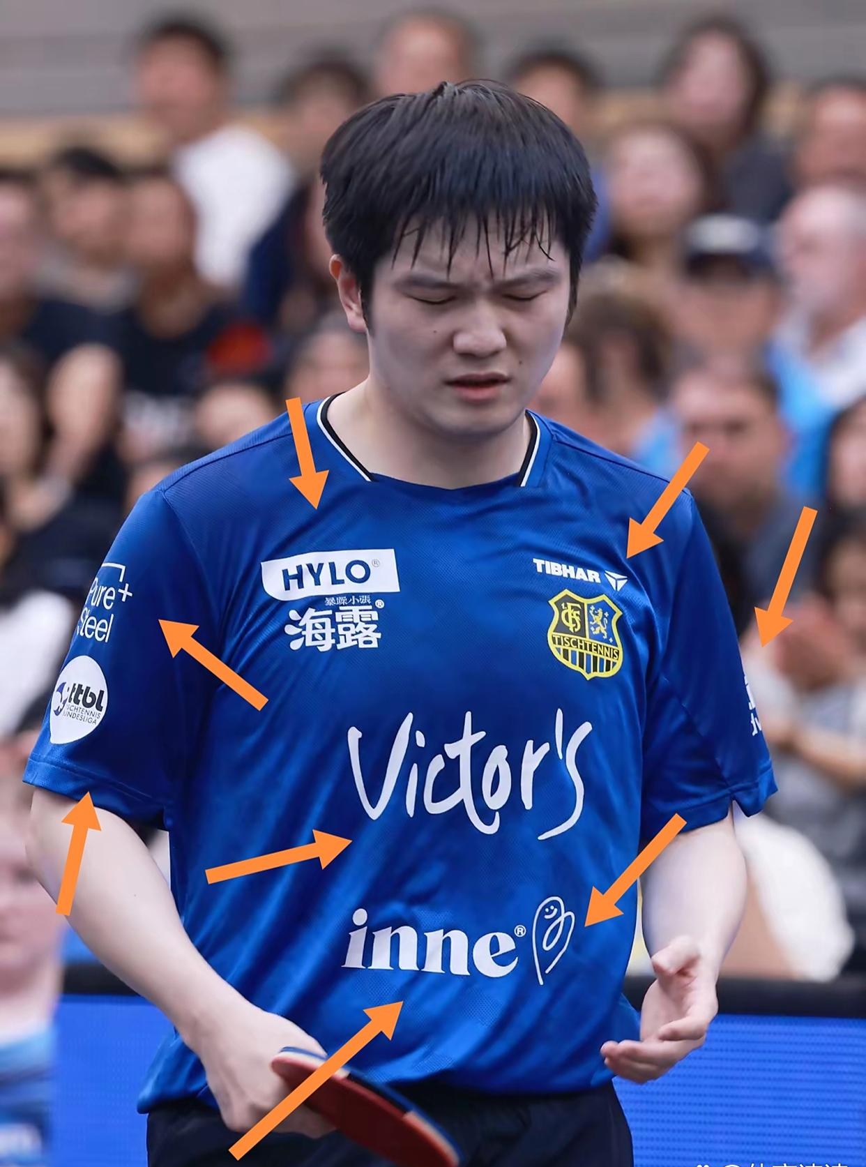 韩国乒乓球队完胜德国乒乓球队,樊振东制霸全场 韩国乒乓球队完胜德国乒乓球队,樊振东制霸全场