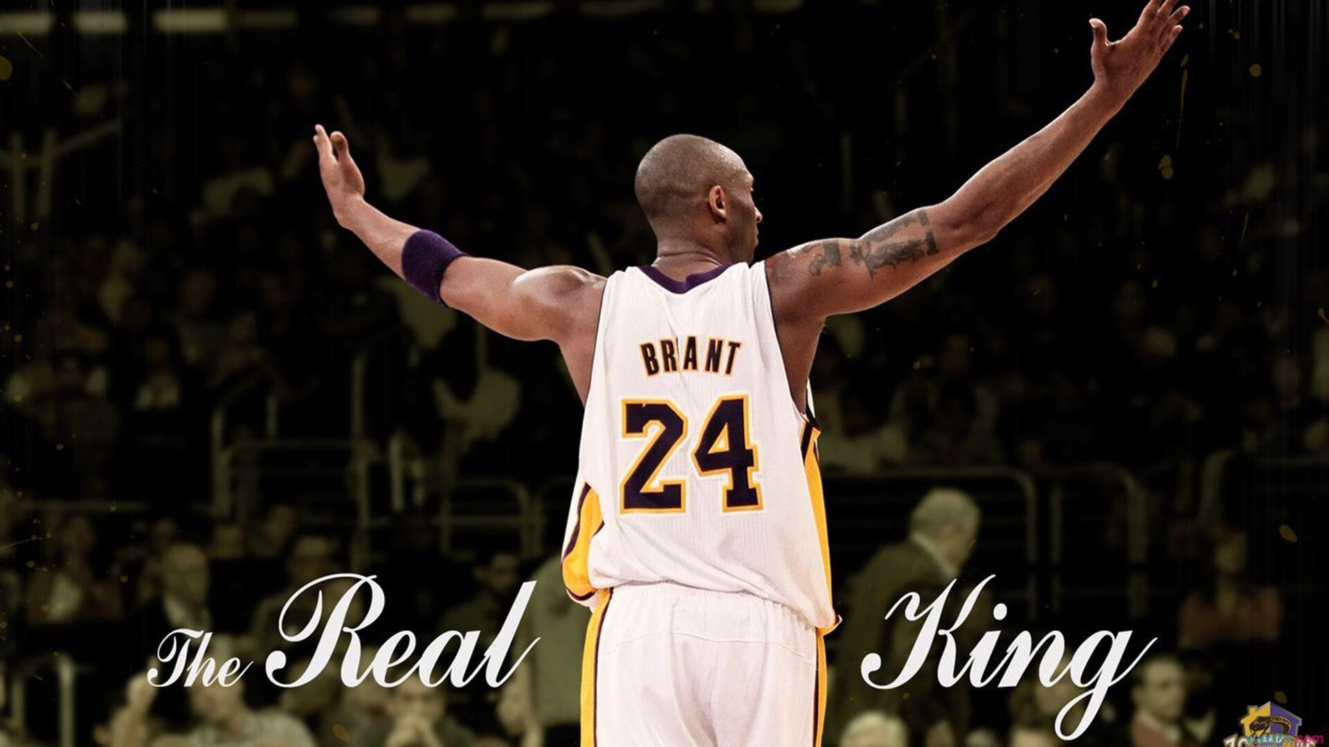 德甲争冠战之夜,武切维奇如何以节奏大师之姿引领全队